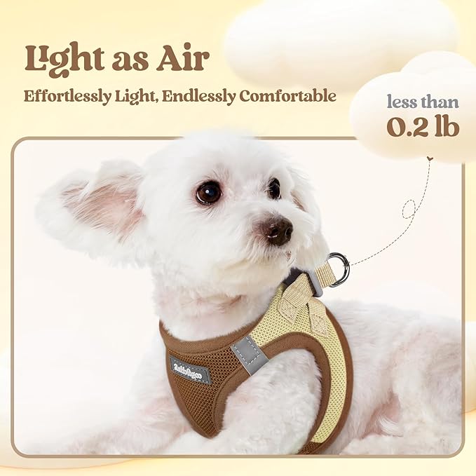 rabbitgoo Dog Harness Small Sized and Leash Set, Step in Soft Light Puppy Vest, Breathable Mesh Pet Harness, Reflective for Safe Easy Walking, Brown & Beige S