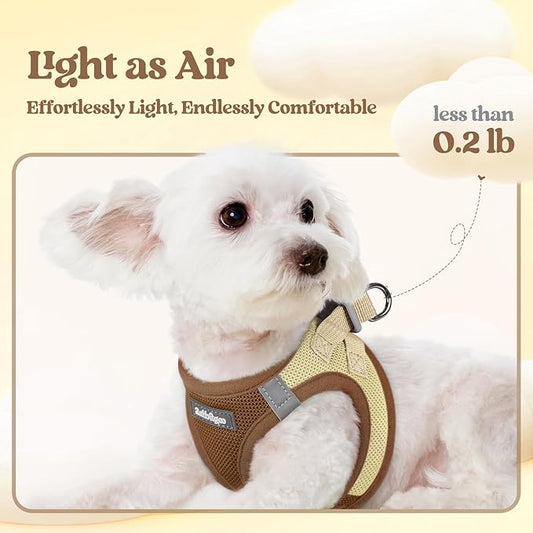 rabbitgoo Dog Harness Small Sized and Leash Set, Step in Soft Light Puppy Vest, Breathable Mesh Pet Harness, Reflective for Safe Easy Walking, Brown & Beige M