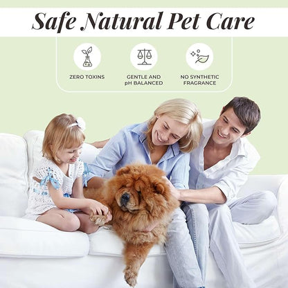 Divine Canine Cleansing Hair and Body Spray for Dogs - 5.1 Fl Oz of Dog Deodorizer, Long Lasting Formula - Everyday Body Spray with Aloe, Lemongrass Oil, and More - Made in The USA