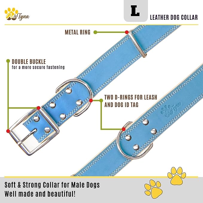 ADITYNA Heavy-Duty Leather Dog Collar for Large Dogs - Soft Padded for Comfort - Blue Dog Collar for Walking, Training, and Hiking