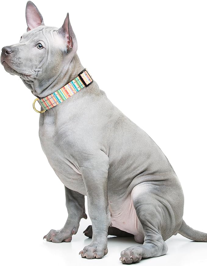 Reflective Dog Collar, Cute Dog Collar for Medium Dogs, Soft Nylon Puppy Collar for Boy and Girl Female Dogs, Adjustable Pet Collars with Quick Release Buckle, Colorful Watercolor Art