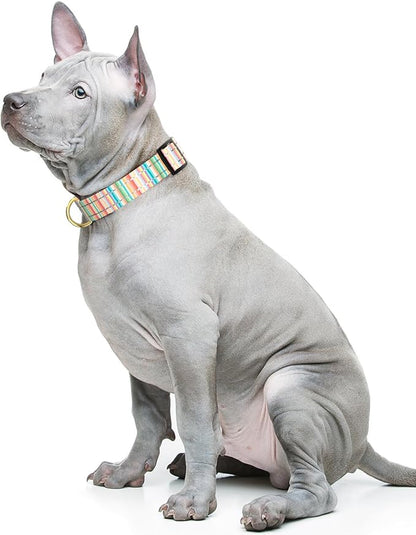 Reflective Dog Collar, Cute Dog Collar for Medium Dogs, Soft Nylon Puppy Collar for Boy and Girl Female Dogs, Adjustable Pet Collars with Quick Release Buckle, Colorful Watercolor Art