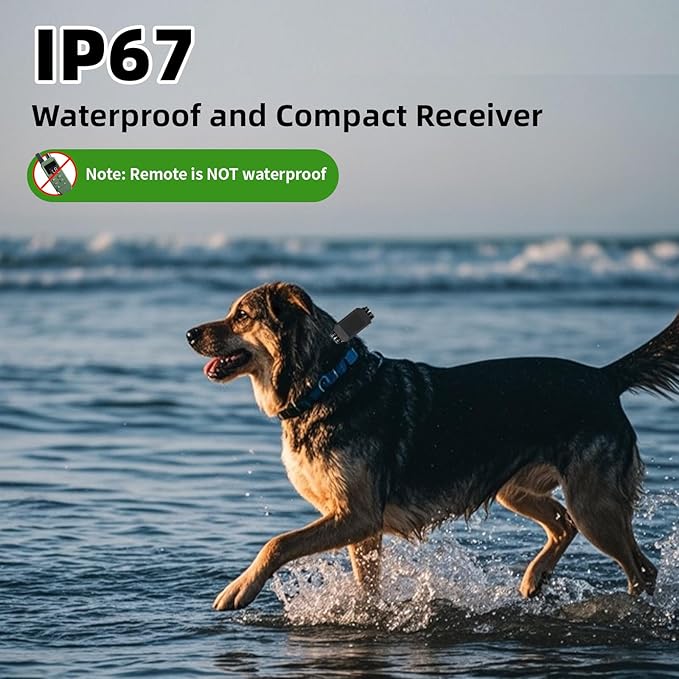 Dog Shock Collar Dog Training Collar with Remote Innovative IPX67 Waterproof with 5 Training Modes, Rechargeable E-Collar for All Breeds- Green