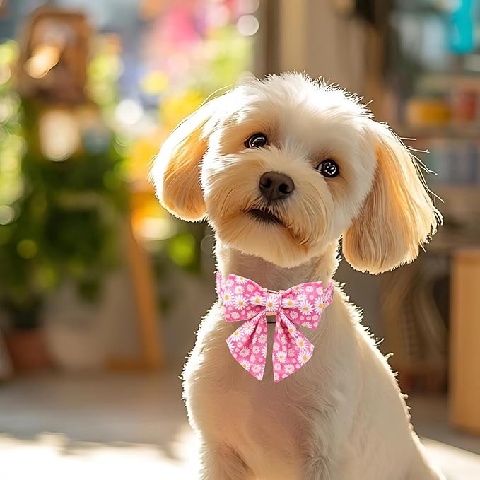 Floral Dog Collar with Lady Bow - Spring Daisy Dog Collars Girly Pink Sailor Bowtie Collars, Adjustable Metal Buckle Female Dogs Collar for Small Medium Large Dogs XL