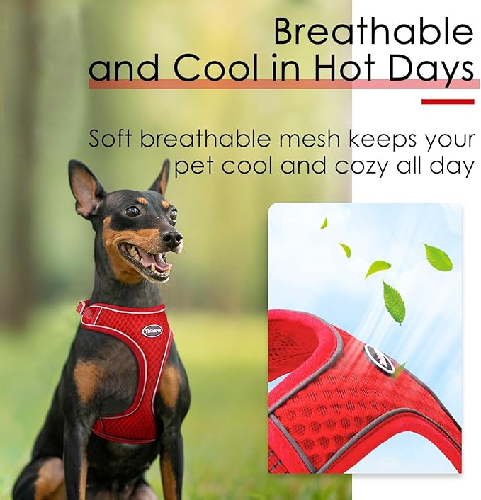 ThinkPet Reflective Breathable Soft Air Mesh No Pull Puppy Choke Free Over Head Vest Ventilation Harness for Puppy Small Medium Dogs and Cats (Red,XL)