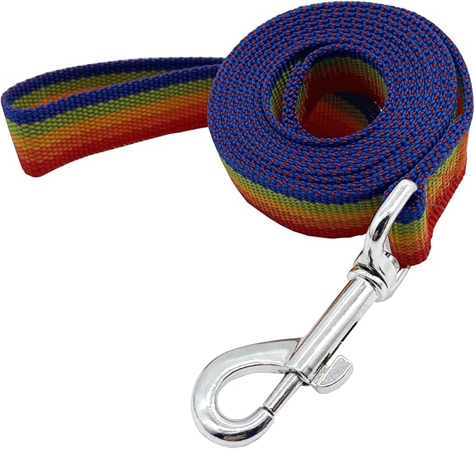Nylon Dog Training Leash, Traction Rope, 4Ft /5 Foot /6 Feet Long, 5/8 inch 3/4 Inch 1 Inch Wide, for Small and Medium Dogs (Rainbow, 1'' x 20 FT)