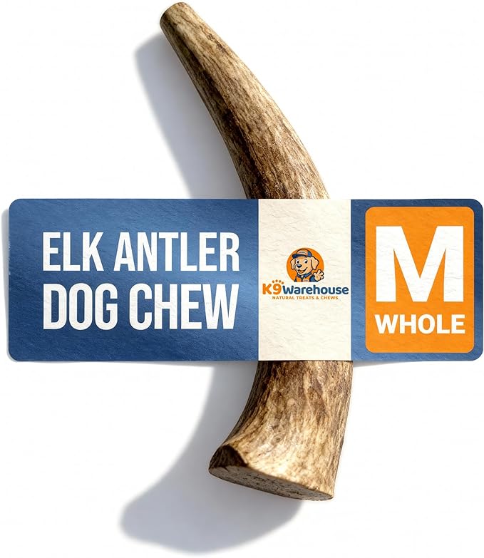 K9warehouse Natural Elk Antlers for Dogs - Premium Grade Dog Antler Chews - Long-Lasting Whole Deer Antles Ideal for Aggressive Chewers - Safe USA Sourced Chew for Medium and Large Dogs - 1 Pack