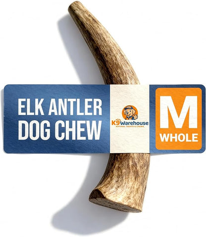K9warehouse Natural Elk Antlers for Dogs - Premium Grade Dog Antler Chews - Long-Lasting Whole Deer Antles Ideal for Aggressive Chewers - Safe USA Sourced Chew for Medium and Large Dogs - 1 Pack