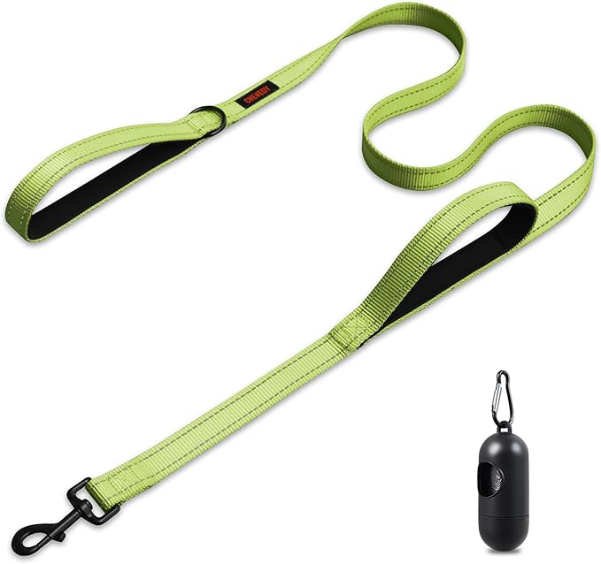 Heavy Duty Double Handle Reflective Leash for Large Breed Dogs - Perfect for Medium to Large Dogs (5FT, Light Green)