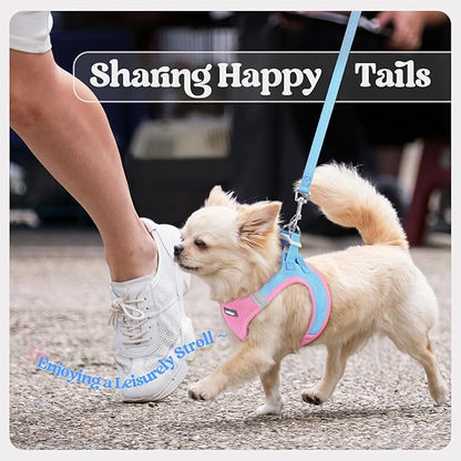 rabbitgoo Dog Harness Small Sized and Leash Set, Step in Soft Light Puppy Vest, Breathable Mesh Pet Harness, Reflective for Safe Easy Walking, Blue & Light Pink S