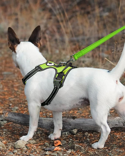 Joytale Double-Sided Reflective Dog Leash, 6 FT/5 FT/4 FT, Padded Handle Nylon Heavy Duty Leashes for Medium & Large Dogs Walking, Green, 5FT