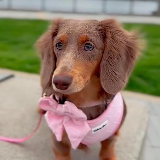 Small Dog Harness Set – Cute No Pull, All Weather, Breathable Harness and Leash Set with Collar, Bandana, Sailor Bow & Poop Bag Holder – Adjustable, Soft & Stylish - Pink Hearts on Jacquard Fabric