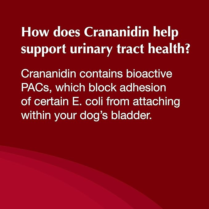 Crananidin Urinary Tract Health Supplement Chewable Tablets for Dogs
