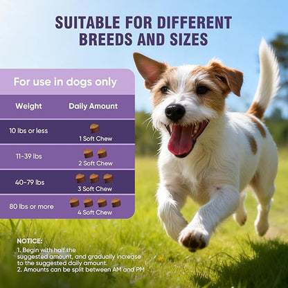 Dog Allergy Chews 200ct - Dog Allergy and Itching Skin Relief Anti Itch Aller Immune Bites for Dogs licking Paws Treatment Relief Itchy Chew Probiotics Vitamins for Skin and Coat - Peanut Butter