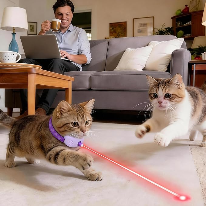 Walfront Cat Toys, Interactive Purple Light-Up Collar, USB Rechargeable, Adjustable 9.1–13.4in, 2 Modes & 41° Angle, Indoor Play for Multiple Cats & Kittens, Fun & Exercise
