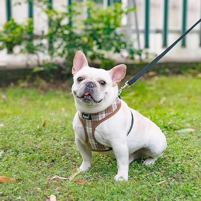 PUPTECK Soft Mesh Dog Harness and Leash Set Pet Puppy Cat Comfort Padded Vest No Pull Harnesses, Brown, XS