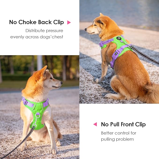 PHOEPET No Pull Dog Harness, Unique Colors Reflective Adjustable Dog Vest, with Soft Training Handle Metal Clips for Small Medium Large Dogs (Green Base & Purple Straps,S)