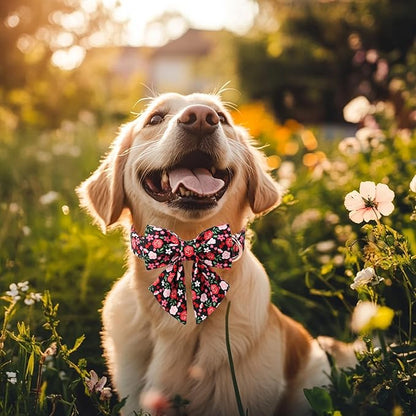 Floral Dog Collar with Lady Bow - Rose Red Wild Flowers Pattern Bowtie Puppy Collar, Adjustable Winter Heavy Duty Dog Collars for Small Medium Large Dogs XL
