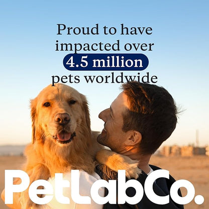 PetLab Co. Joint Care Chews - High Levels of Glucosamine for Dogs, Green Lipped Mussels, Omega 3 and Turmeric - Hip and Joint Supplement to Actively Support Mobility - Packaging May Vary - (2-Pack)