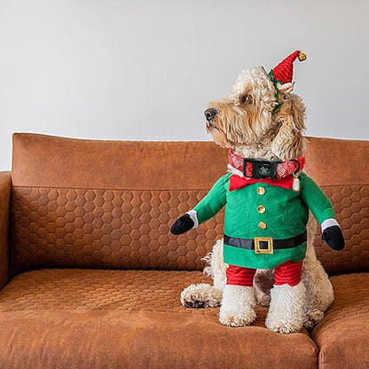 Elegant little tail Christmas Dog Collar, Pet Dog Collar Cotton Soft Red Plaid Winter Pet Collars Holiday with Quick Release Buckle Puppy Collar for X-Small Puppy