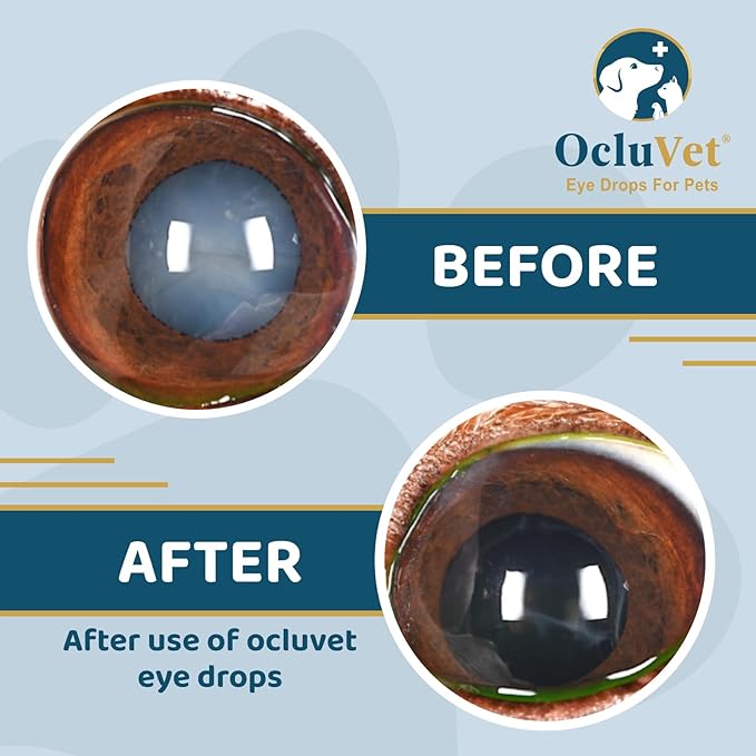 OcluVet Eye Drops for Pets | Clinically Studied Antioxidants for Pets with Cataracts | Made in The USA | Includes 2% N-Acetyl-L-Carnosine (NAC) | 16mL