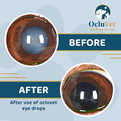 OcluVet Eye Drops for Pets | Clinically Studied Antioxidants for Pets with Cataracts | Made in The USA | Includes 2% N-Acetyl-L-Carnosine (NAC) | 16mL