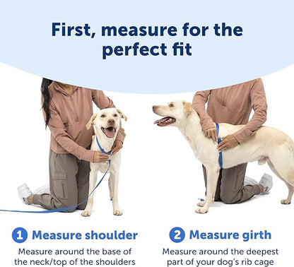 PetSafe Easy Walk Comfort No-Pull Dog Harness - Better Walk Training Harness - Full Body Padded Design - Durable Fabric - 5 Point Adjustable Fit - Everyday Leash Training - Blue - Medium/Large