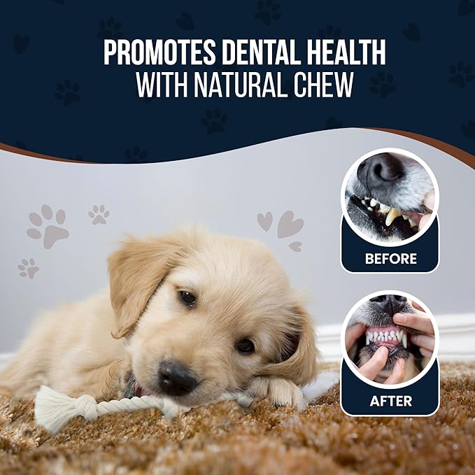 4 Pack Real Coffee Wood Stick for Dogs 15-40 lbs, Puppy Teething Toys, 100% Natural Puppy Wood Chew Toys, Stress Relief - Woodden Bones for Dogs - Natural Rope Toys