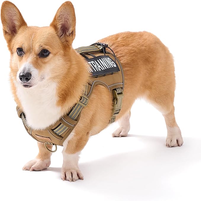 No-Pull Adjustable Dog Harness for Small Dogs,Easy Control with Handle, for Havanese Chihuahua Puggle etc, Inescapable, Ez Walking, Safe Reflective Strips, No Rub,No Choke, Army Green, S