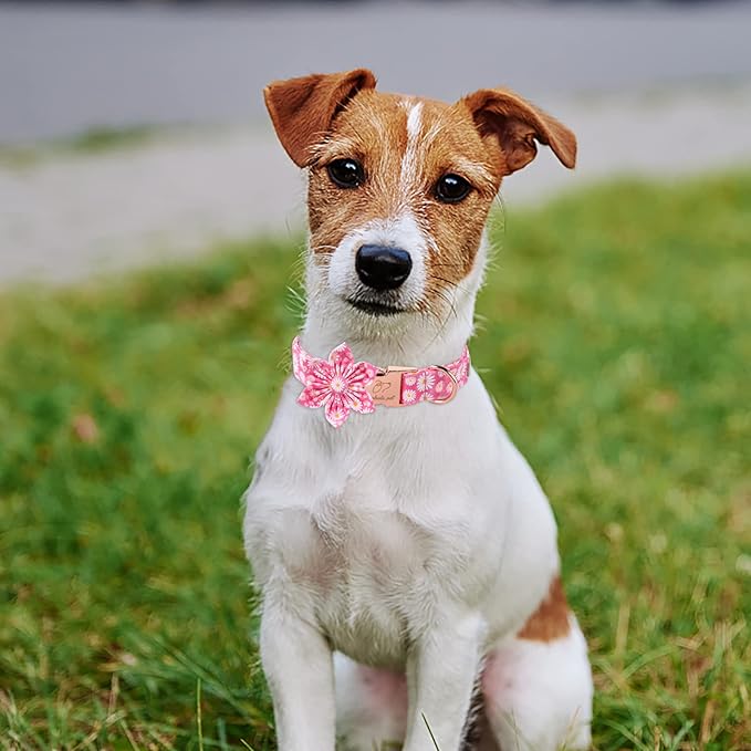 Daisy Dog Collar with Flower Bow Tie, Soft&Comfort Spring Bowtie Dog Collar, Durable Adjustable Cotton Pet Collar for Small Medium Large Dogs