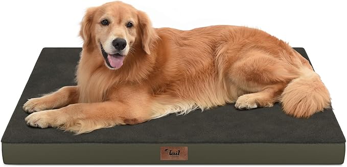 Tail Stories Orthopedic Dog Bed for Extra Large Dogs, XL Comfort Pet Mat for Large Sized Dog 44x32 Inch, Egg Crate Foam with Removable Washable Oxford Cover, Coffee