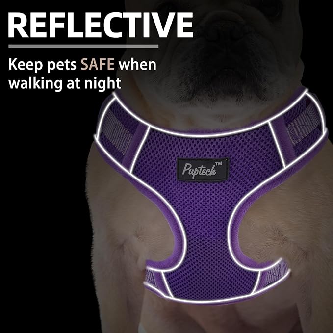 PUPTECK Small Dog Harness and Leash Set, No Pull Adjustable Puppy Cat Harness, Reflective Soft Mesh Pet Vest Small Sized, Purple, L