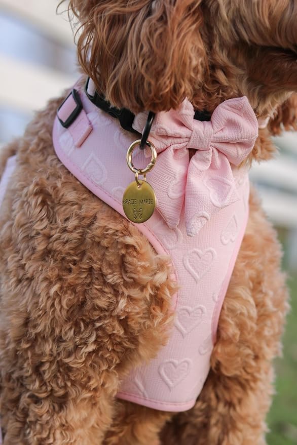 Large Dog Harness Set – Cute No Pull, All Weather, Breathable Harness and Leash Set with Collar, Bandana, Sailor Bow & Poop Bag Holder – Adjustable, Soft & Stylish – Pink Hearts on Jacquard Fabric