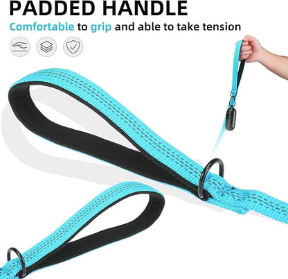 PUPTECK Reflective Dog Leash with Comfortable Padded Handle Durable Nylon Dog Lead for Small Medium and Large Dogs Cats Walking Running Training Outside, Teal, M