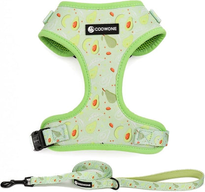 Dog Harness and Leash Set, Adjustable Dog Harness, Dog Leash, No Pull No Choke Puppy Harnesses for Walking Training for Small Medium Pet