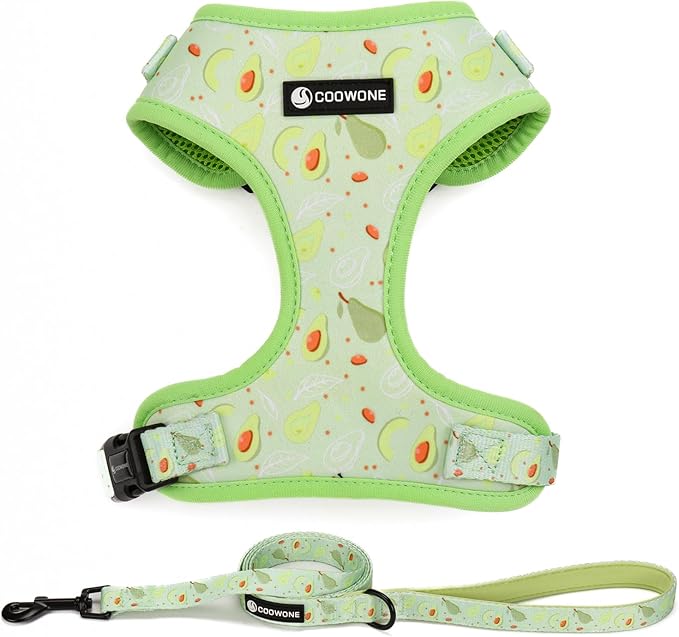 Dog Harness and Leash Set, Adjustable Dog Harness, Dog Leash, No Pull No Choke Puppy Harnesses for Walking Training for Small Medium Pet