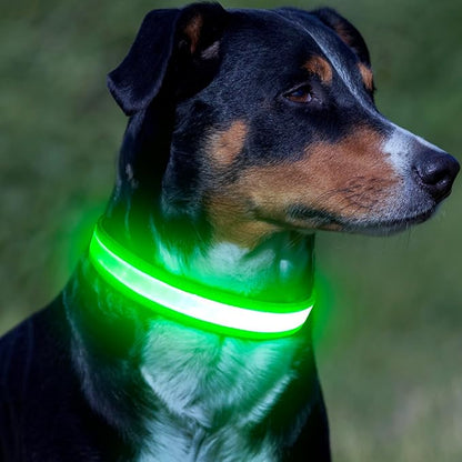 Vizpet LED Dog Collar, Light Up Dog Collar Adjustable USB Rechargeable Super Bright Safety Light Glowing Collars for Dogs(Large,Green)