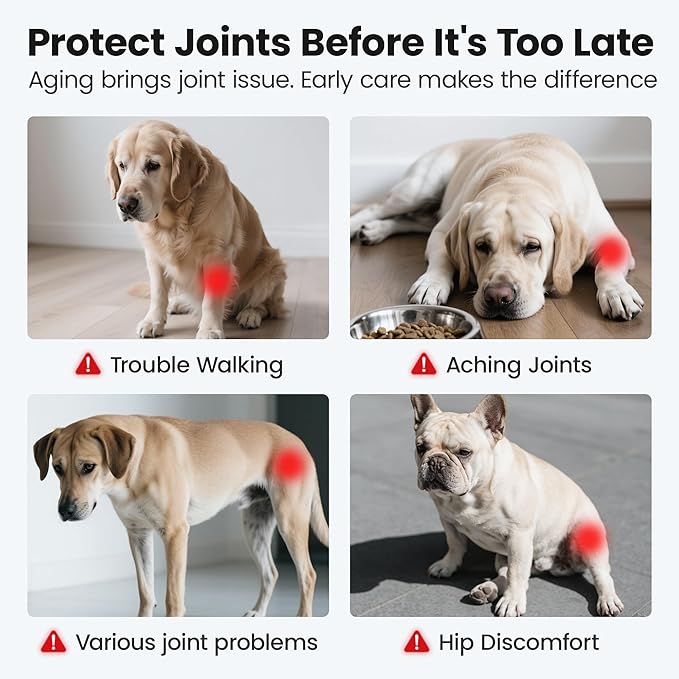 Glucosamine for Dogs Hip and Joint Supplement Soft Chews, Chondroitin Joint Supplement with MSM, Green-lipped Mussels for Small Medium & Large Dogs -100 Ct