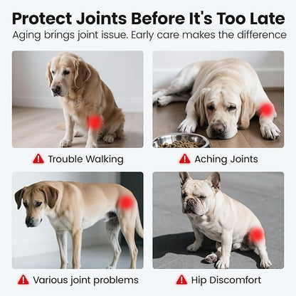 Glucosamine for Dogs Hip and Joint Supplement Soft Chews, Chondroitin Joint Supplement with MSM, Green-lipped Mussels for Small Medium & Large Dogs -100 Ct