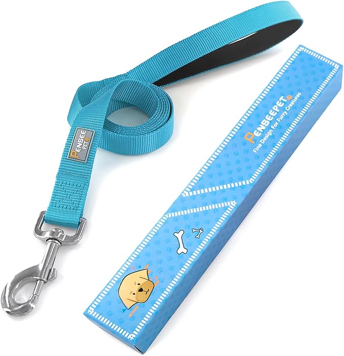 Basic Dog Leashes 6 FT Padded Handle Nylon Dogs Leashes for Medium Dogs Light Blue
