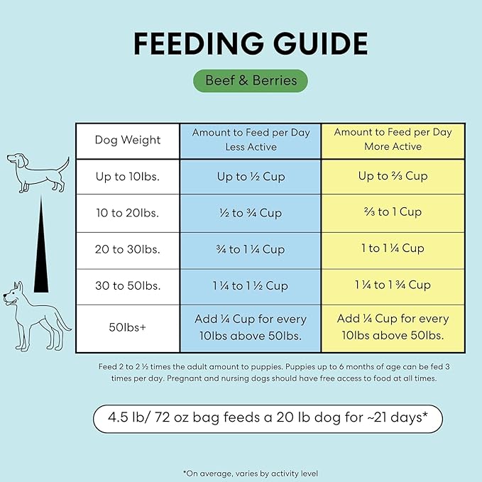 The Pets Table Beef & Berries Grain-Free Air Dried Dog Food, 1 lb (16 Oz) Bag