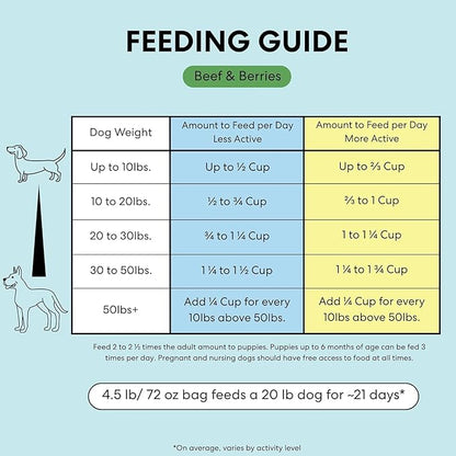 The Pets Table Beef & Berries Grain-Free Air Dried Dog Food, 1 lb (16 Oz) Bag