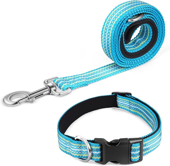 Reflective Dog Collar and Leash Set, Nylon Dog Leash with Heavy-Duty Steel D-Ring, Adjustable with Quick Release Buckle for Small Dogs,Cyan S