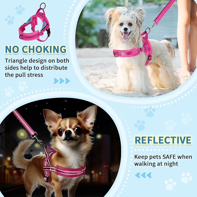 SlowTon No Pull Small Dog Harness and Leash Set, Puppy Soft Vest Harness Neck & Chest Adjustable, Reflective Lightweight Harness & Anti-Twist Pet Lead Combo for Small Medium Dogs (FU, M)