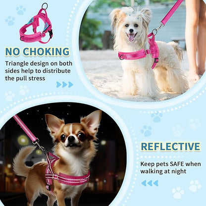 SlowTon No Pull Small Dog Harness and Leash Set, Puppy Soft Vest Harness Neck & Chest Adjustable, Reflective Lightweight Harness & Anti-Twist Pet Lead Combo for Small Medium Dogs (FU, M)