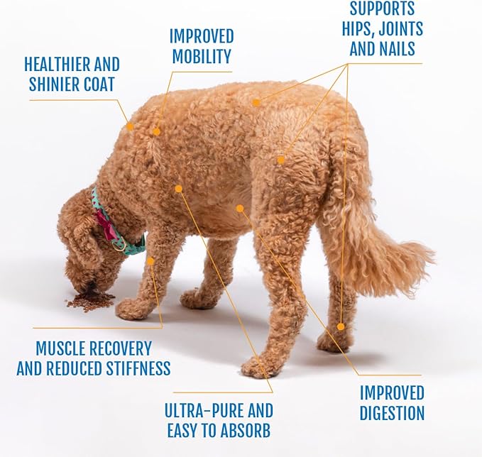 Eggshell Membrane Collagen for Dogs - Non-Gelatin and Non-Bone Marrow Based, All Natural Premium Dog Collagen Powder from Eggshell Membranes: Supports Pet Hips, Joints, Nails, Fur and Digestion.