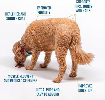 Eggshell Membrane Collagen for Dogs - Non-Gelatin and Non-Bone Marrow Based, All Natural Premium Dog Collagen Powder from Eggshell Membranes: Supports Pet Hips, Joints, Nails, Fur and Digestion.