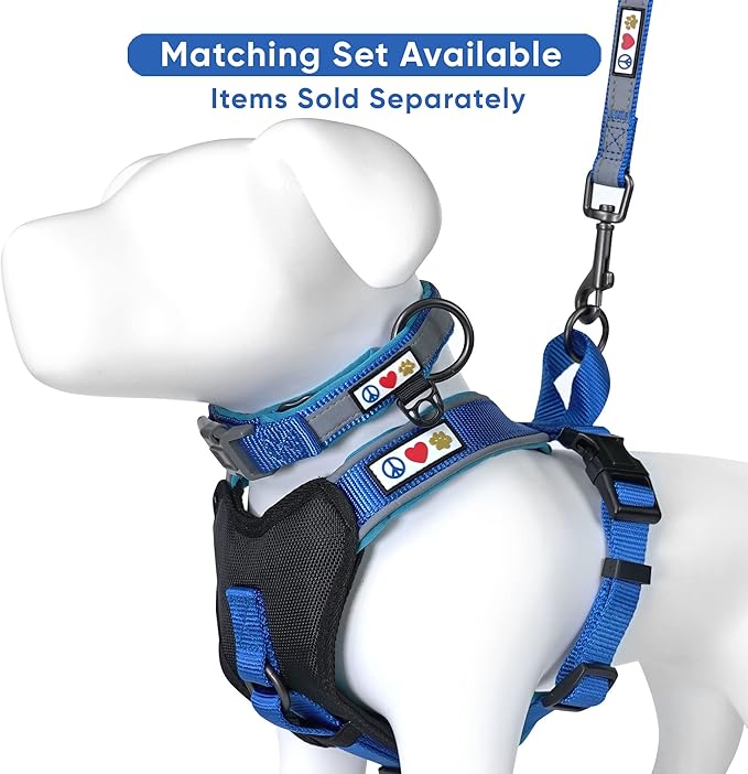 Pawtitas Personalized Blue Dog Leash 6 ft Custom ID Lead for Dogs & Puppies Reflective Comfortable Padded Handle Embroidered Name & Phone Number