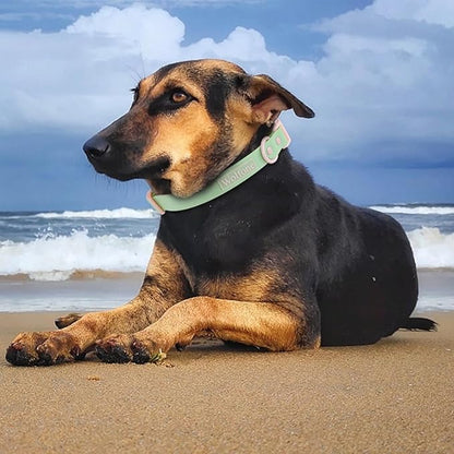 Wolfone Waterproof Dog Collar with Quick Release Buckle， Cute Adjustable Collar for Dogs Comfort Sturdy Durable Odor Proof Easy Care（Mint Green 46-70cm）