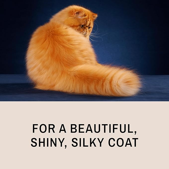 Eye Envy ProGlide 6" Cat Comb. Deshedding and Detangling Comb. Removes undercoat, shedding hair, tangles and knots. Prevents matted fur. Gentle rounded pins of two lengths